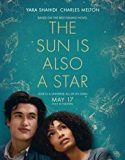 The Sun is Also a Star 2019 Nonton Film Subtitle Indonesia Poster