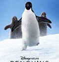 Penguins 2019 Nonton Film Online Subtitle Indonesia Poster