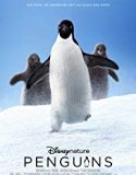Penguins 2019 Nonton Film Online Subtitle Indonesia Poster