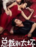 Young President and His Contract Wife 2018 Nonton Film Sub Indo Poster