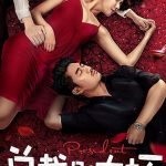 Nonton FIlm Young President and His Contract Wife 2018 Sub Indo KEbioskop21