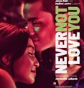 Never Not Love You 2018 Nonton Film Online Subtitle Indonesia Poster
