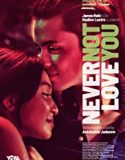 Never Not Love You 2018 Nonton Film Online Subtitle Indonesia Poster