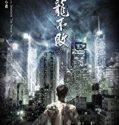 The Invincible Dragon 2019 Nonton Movie Subtitle Indonesia Poster