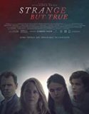 Strange But True 2019 Nonton Online Subtitle Indonesia Poster