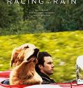 The Art of Racing in the Rain 2019 Nonton Movie Subtitle Indonesia Poster
