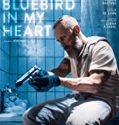 Nonton Film A Bluebird in My Heart 2019 Subtitle Indonesia Poster