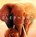 Nonton Film The Elephant Queen 2019 Subtitle Indonesia Poster
