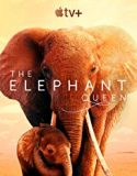 Nonton Film The Elephant Queen 2019 Subtitle Indonesia Poster