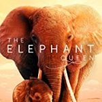 Nonton Film The Elephant Queen 2019 Sub Indo Kebioskop21