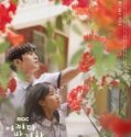 Extraordinary You 2019 Nonton Drama Korea Sub Indo Poster