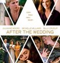 Nonton Film After the Wedding 2019 Subtitle Indonesia Poster