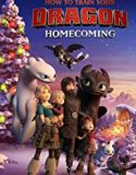 Streaming How To Train Your Dragon Homecoming 2019 Sub Indo Poster