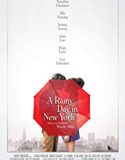 Streaming A Rainy Day in New York 2019 Subtitle Indonesia Poster