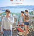 When the Camellia Blooms 2019 Nonton Drama Sub Indo Poster