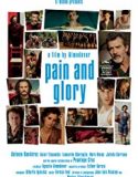 Nonton Film Pain and Glory 2019 Subtitle Indonesia Poster