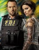 Nonton Serial Blindspot Season 2 Subtitle Indonesia Poster