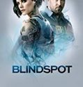 Nonton Serial Blindspot Season 4 Subtitle Indonesia Poster