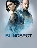 Nonton Serial Blindspot Season 4 Subtitle Indonesia Poster