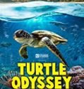 Streaming Turtle Odyssey 2018 Sub Indo Poster