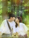Nonton Drama Forest 2020 Subtitle Indonesia Poster