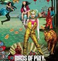 Streaming Birds of Prey And the Fantabulous Emancipation of One Harley Quinn Sub Indo Poster