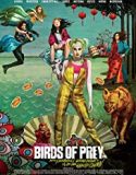 Streaming Birds of Prey And the Fantabulous Emancipation of One Harley Quinn Sub Indo Poster