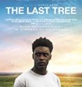 Nonton Film The Last Tree 2019 Subtitle Indonesia Poster