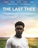 Nonton Film The Last Tree 2019 Subtitle Indonesia Poster