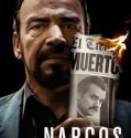 Nonton Serial Narcos Season 3 Subtitle Indonesia Poster