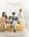 Nonton Drama Hi Bye Mama Subtitle Indonesia Poster