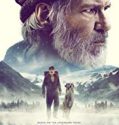 Nonton Film The Call Of The Wild 2020 Subtitle Indonesia Poster