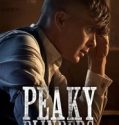 Nonton Serial Peaky Blinders Season 5 Subtitle Indonesia Poster