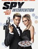 Streaming Film Spy Intervention 2020 Subtitle Indonesia Poster