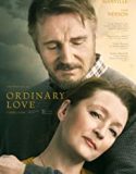 Nonton Film Ordinary Love 2020 Subtitle Indonesia Poster