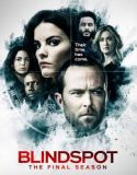 Nonton Serial Blindspot Season 5 Subtitle Indonesia Poster