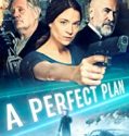 Streaming Film A Perfect Plan 2020 Subtitle Indonesia Poster
