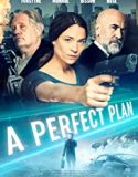 Streaming Film A Perfect Plan 2020 Subtitle Indonesia Poster