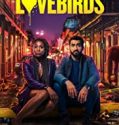 Streaming Film The Love Birds 2020 Subtitle Indonesia Poster