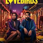 Streaming Film The Love Birds 2020 Subtitle Indonesia Online kebioskop21