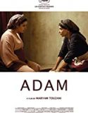 Nonton Movie Adam 2019 Subtitle Indonesia Poster