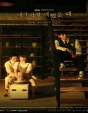 Nonton Drama When I Was the Most Beautiful Subtitle Indonesia Poster