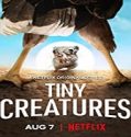 Nonton Serial Tiny Creatures Season 1 Subtitle Indonesia Poster