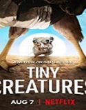 Nonton Serial Tiny Creatures Season 1 Subtitle Indonesia Poster
