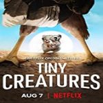 Nonton Serial Tiny Creatures Season 1 Subtitle Indonesia Online kebioskop21