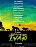 Nonton Movie The One and Only Ivan 2020 Subtitle Indonesia Poster