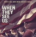 Nonton Serial When They See Us Season 1 Subtitle Indonesia Poster