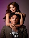 Nonton Drama My Dangerous Wife Subtitle Indonesia Poster