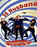 Nonton Movie 36 Husbands 2020 Subtitle Indonesia Poster