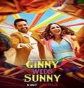 Nonton Movie Ginny Weds Sunny 2020 Subtitle Indonesia Poster